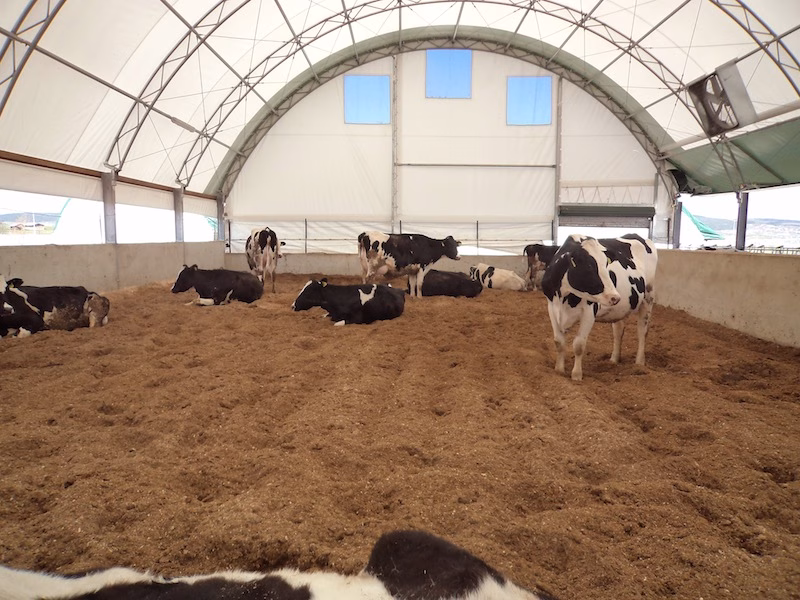 Yalıtımlı Hayvan Çadırı