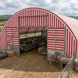 Besihane Amaçlı Küçükbaş Koyun Çadırı 7x14